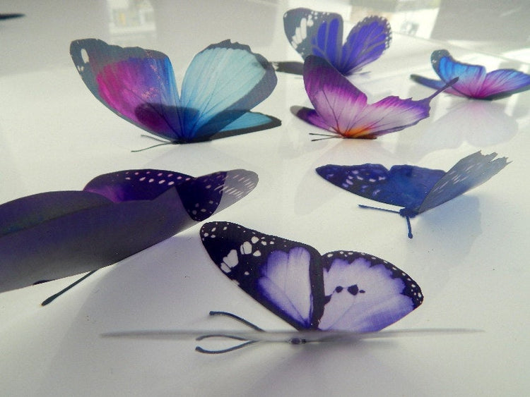 Bespoke purple butterflies from the purple collection,natural,reproduction wall sticker butterflies,caravan indoor decor