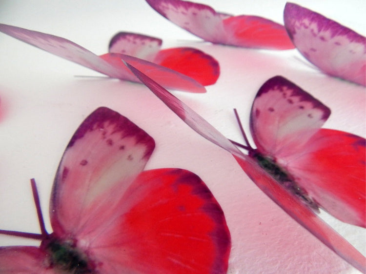 Wall decor,6 Butterflies pink and purple natural wall art in flight flying butterflies,nursery decor, wall decor,birthday gift for her,mom,mum