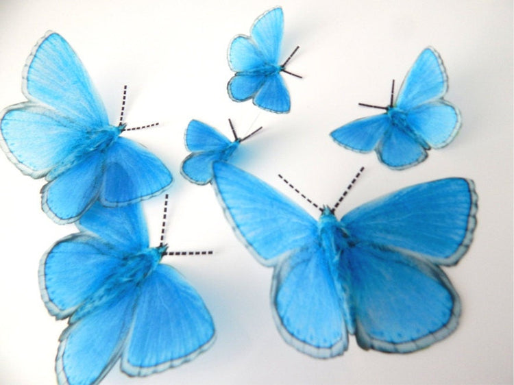 7 3d Reproduction British Adonis Butterflies Picture Accessories bedroom,living room,kitchen,wall art