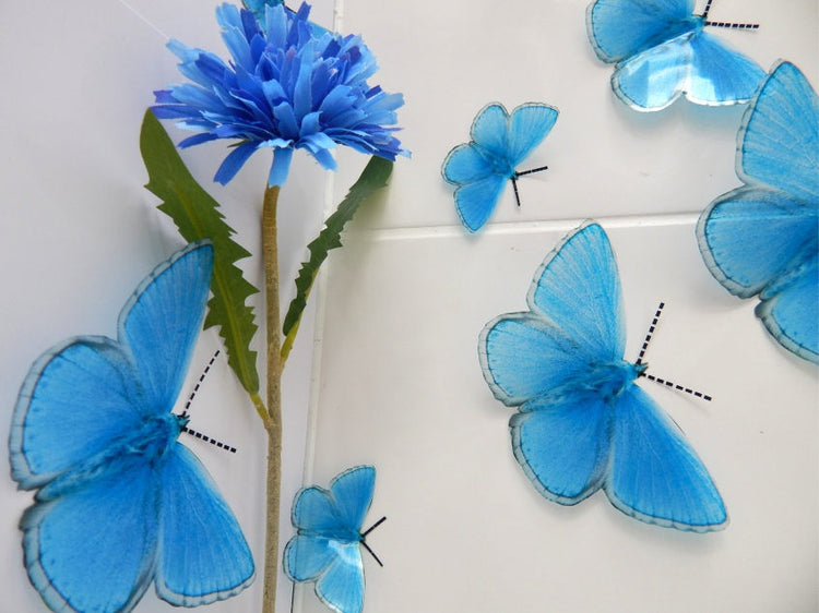 7 3d Reproduction British Adonis Butterflies Picture Accessories bedroom,living room,kitchen,wall art