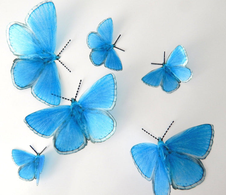 7 3d Reproduction British Adonis Butterflies Picture Accessories bedroom,living room,kitchen,wall art