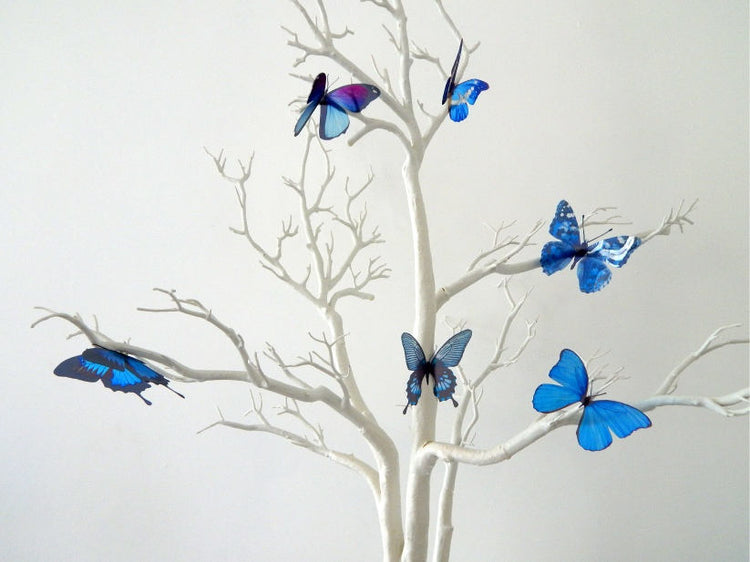 Blue Natural butterflies from our blue collection. 3d Butterfly stickers.