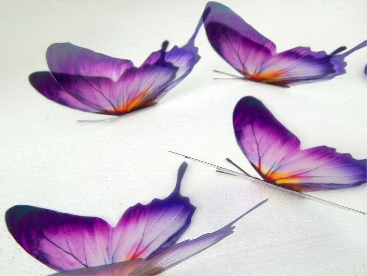 Designer purple and yellow butterflies, stunning,wall decor, luxury wall art,conservatory,,original reproduction