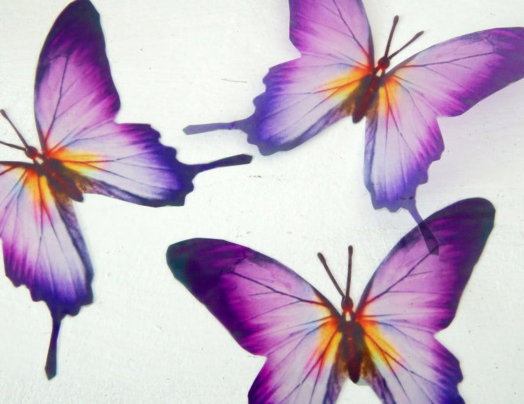 Designer purple and yellow butterflies, stunning,wall decor, luxury wall art,conservatory,,original reproduction