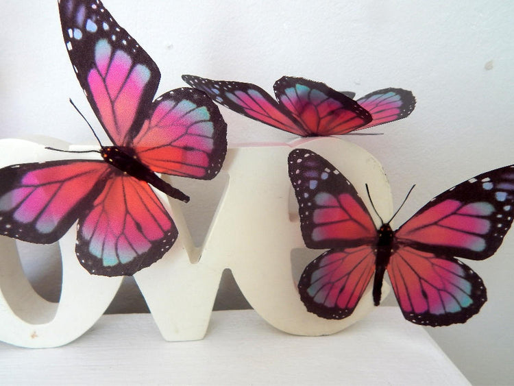 Pink and blue Monarch butterfly