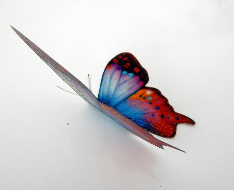 7 3d Fantasy multi-coloured butterflies lounge, hall, conservatory, bathroom, bedroom,garden, bedroom,living room,kitchen,wall art stickers