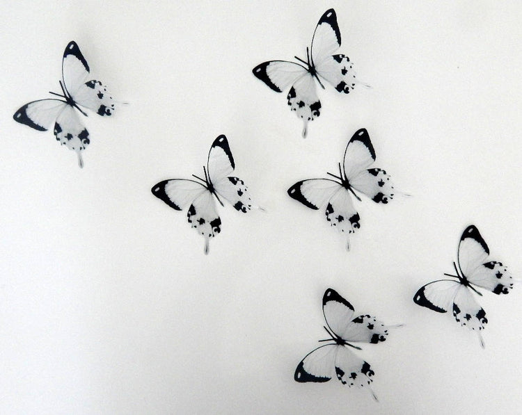 3D black and white butterflies stickers,wall art in flight flying butterflies,wall nature decor,decorative butterflies,stunning butterflies