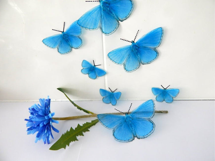 7 3d Reproduction British Adonis Butterflies Picture Accessories bedroom,living room,kitchen,wall art