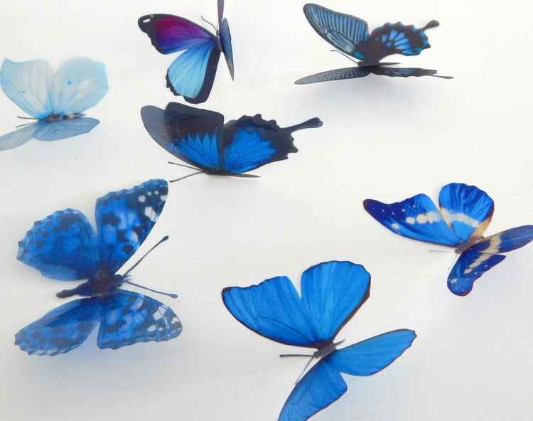 Blue Natural butterflies from our blue collection. 3d Butterfly stickers.