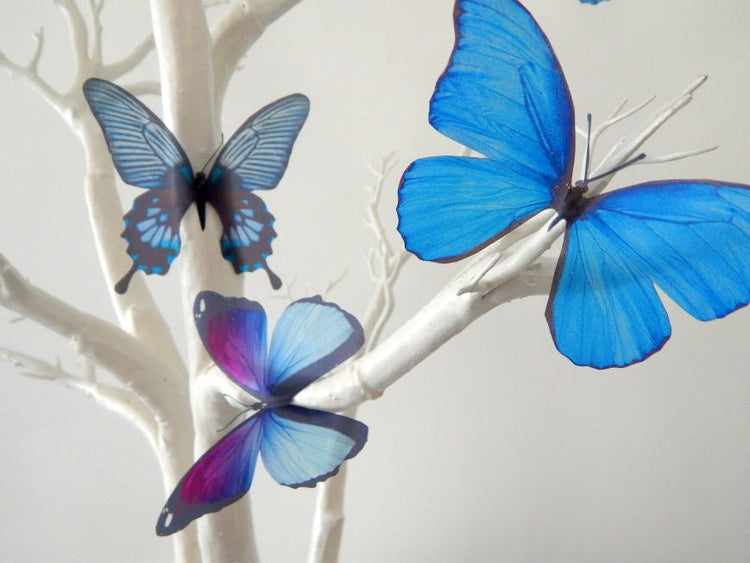 Blue Natural butterflies from our blue collection. 3d Butterfly stickers.