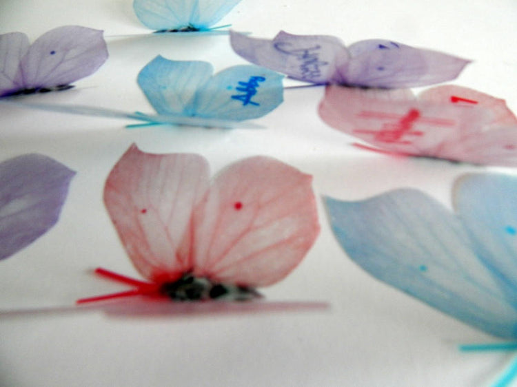 personalised pastel butterflies stickers