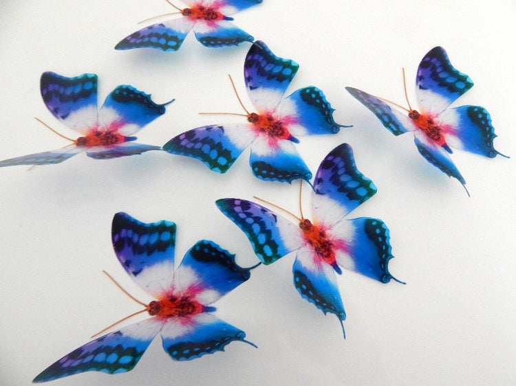 3d Butterfly stickers Colourful Starburst natural BUTTERFLIES REALISTIC Enchanted butterflies British butterflies,inside decor