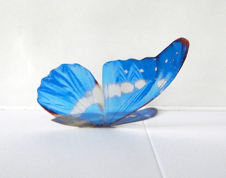 Blue Natural butterflies from our blue collection. 3d Butterfly stickers.