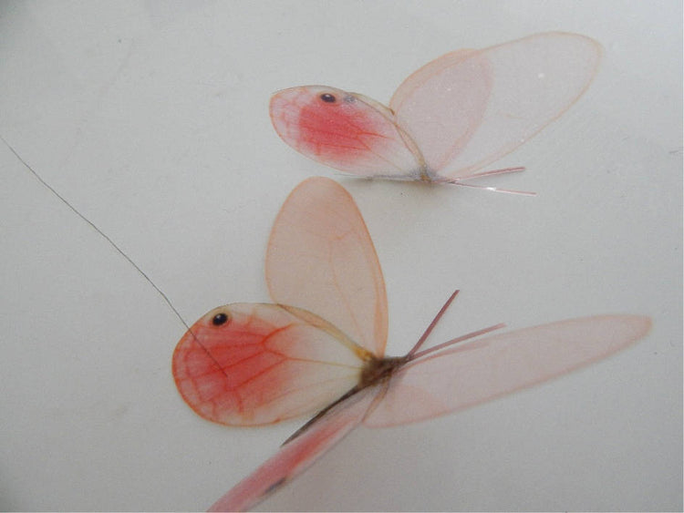 Peach natural butterfly 3d stickers