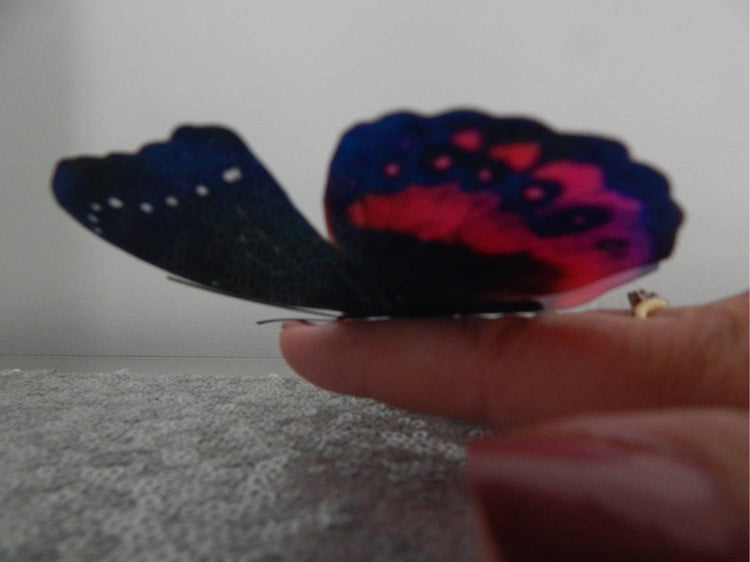 Black and red 3d wall butterfly stickers Luxury Amazing Butterflies 3D Butterfly Wall Art Home Decorations