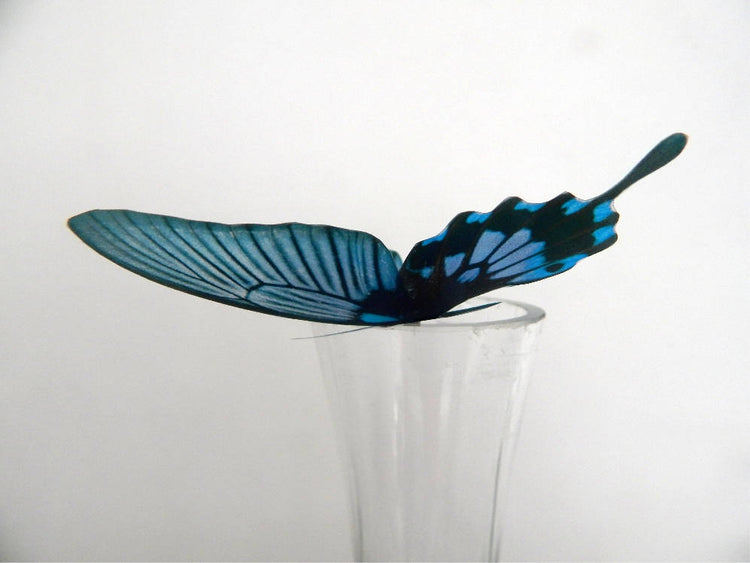 3D Dusky Blue butterflies,Removable Butterflies, home decorations, Wall Art 3D Wall Decal, realistic butterflies, wedding decorations, vase