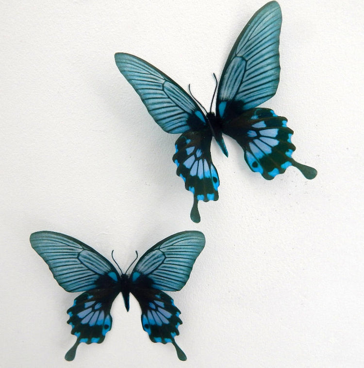 3D Dusky Blue butterflies,Removable Butterflies, home decorations, Wall Art 3D Wall Decal, realistic butterflies, wedding decorations, vase
