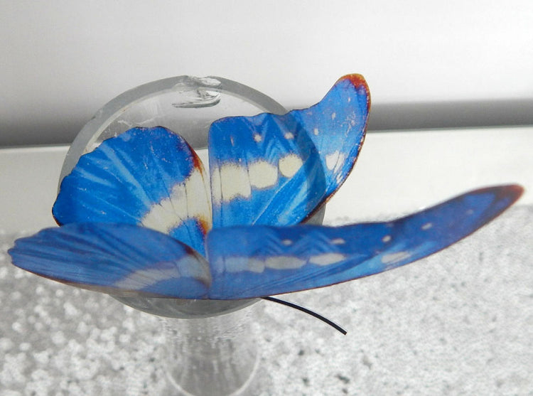 Blue butterfly for the wall 3d Natural Butterfly wall sticker