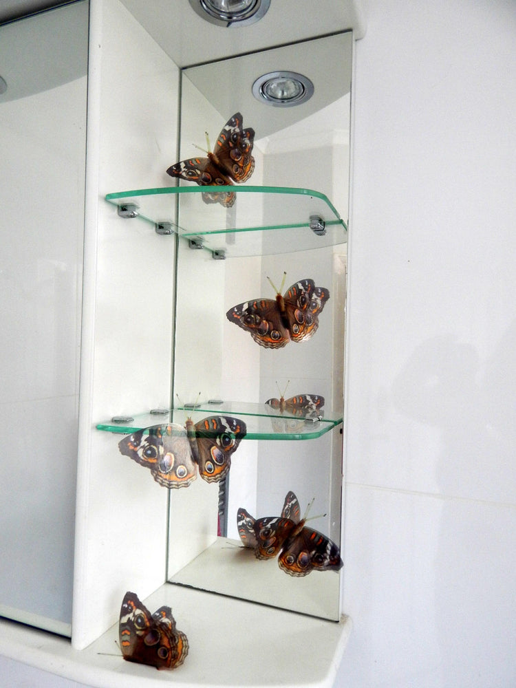 3D Butterfly Buckeye natural wall art sticker, flying butterflies,bathroom cabinet decorations, shower room,window dressing,Nature reserve