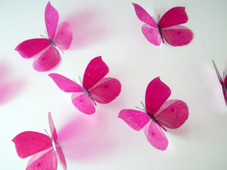 Fuschia pink Luxury Amazing Butterflies 3D Butterfly Wall Art stickers,Removable Butterflies Home Decorations,bathroom, shower room,bedroom