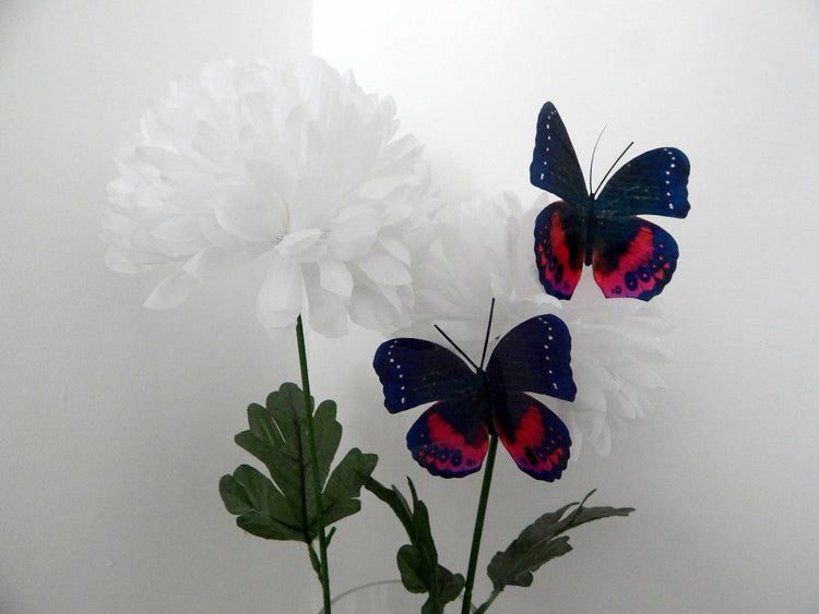 black and red butterfly by flutterframes