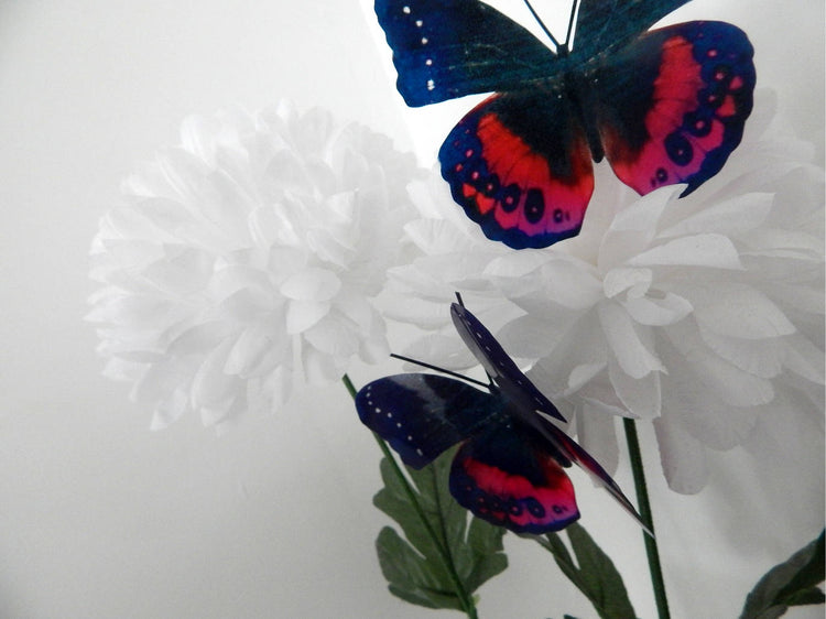 Black and red 3d wall butterfly stickers Luxury Amazing Butterflies 3D Butterfly Wall Art Home Decorations