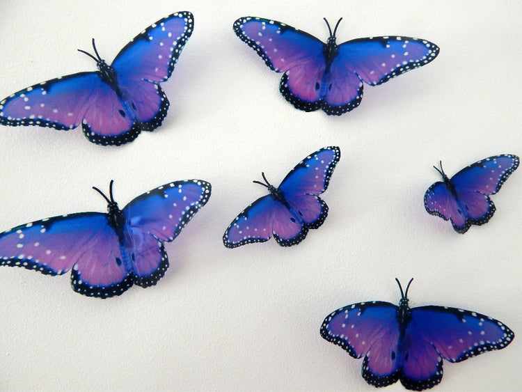 purple 3d butterflies by flutterframes