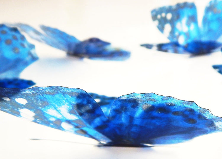 3D Butterfly Blue spotted wall stickers, handmade natural looking butterflies.