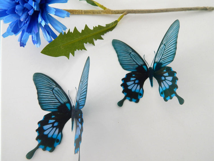 3D Dusky Blue butterflies,Removable Butterflies, home decorations, Wall Art 3D Wall Decal, realistic butterflies, wedding decorations, vase