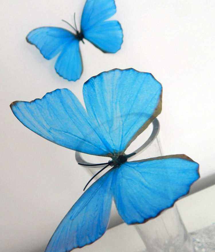 Natural blue butterfly 3d sticker by flutterframes
