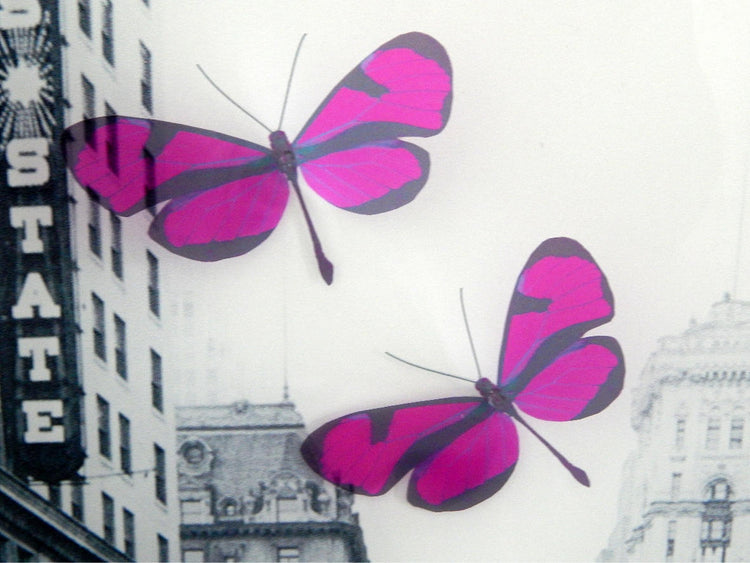 3d butterfly stickers, Fuchsia Pink Long Tail natural butterfly, conservatoryr