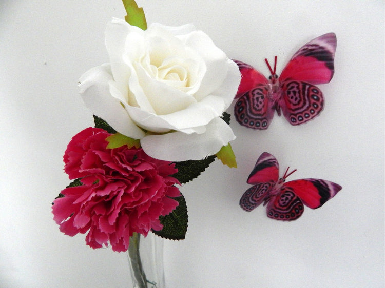 Exotic pink butterfly by flutterframes