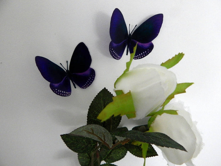 DEEP PURPLE NATURAL BUTTERFLY
