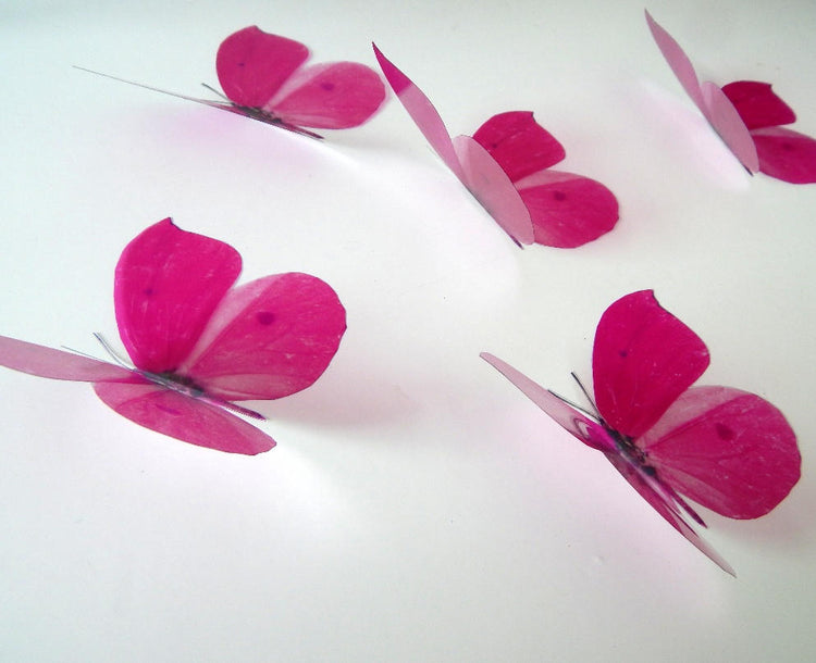 Fuchsia pink butterfly by flutterframes