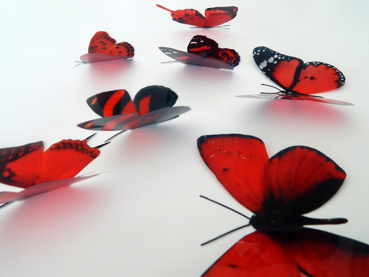 3d butterflies the Red collection, butterfly decor for the wall,conservatory, home,bedroom, lounge,window decorations,vase, red butterflies