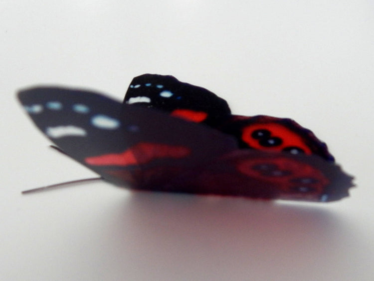 3d butterflies the Red collection, butterfly decor for the wall,conservatory, home,bedroom, lounge,window decorations,vase, red butterflies