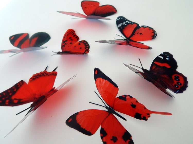 3d butterflies the Red collection, butterfly decor for the wall,conservatory, home,bedroom, lounge,window decorations,vase, red butterflies