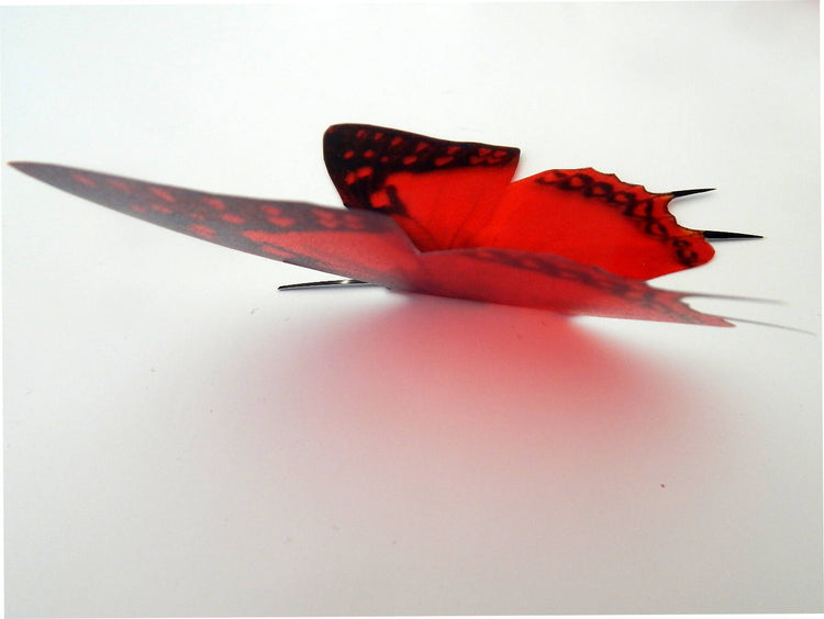3d butterflies the Red collection, butterfly decor for the wall,conservatory, home,bedroom, lounge,window decorations,vase, red butterflies