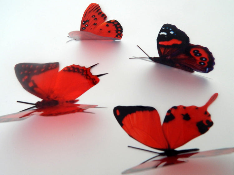 3d butterflies the Red collection, butterfly decor for the wall,conservatory, home,bedroom, lounge,window decorations,vase, red butterflies