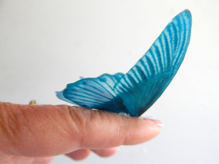 10 Natural butterflies 3d butterfly stickers handmade, butterfly decor for the wall,sun catchers,home,bedroom, lounge,window decorations