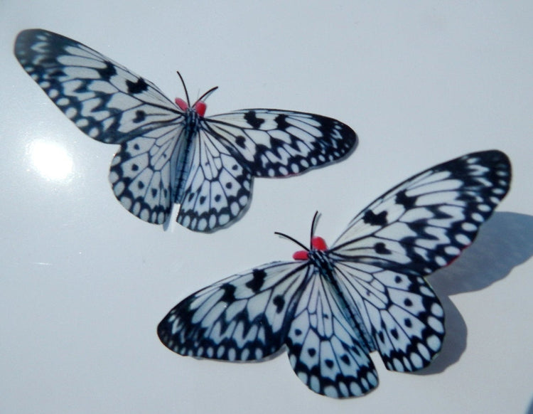 Black and white butterfly reproduction natural,Butterfly 3d purple, luxury butterfly wall art, bedroom,bathroom, window sun catcher