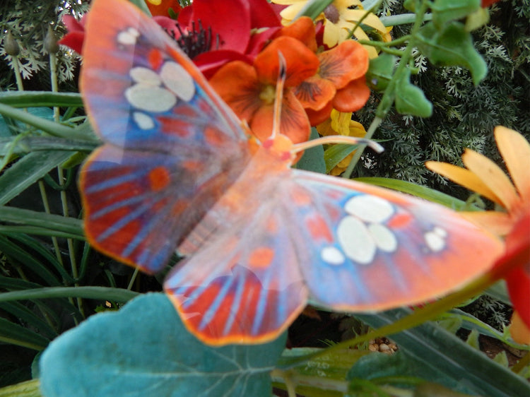 Natural reproduction 3d butterfly wall stickers,sun catcher,plant pots,walls,table decor,conservatory,windows,display of butterflies