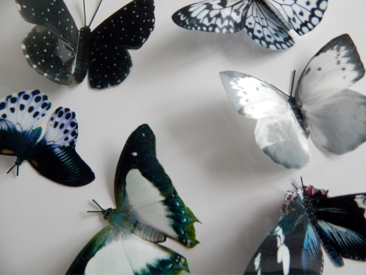 Black and white Natural reproduction 3d butterfly wall stickers
