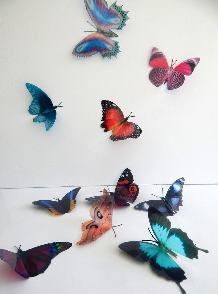 Natural set of butterfly 3d stickers