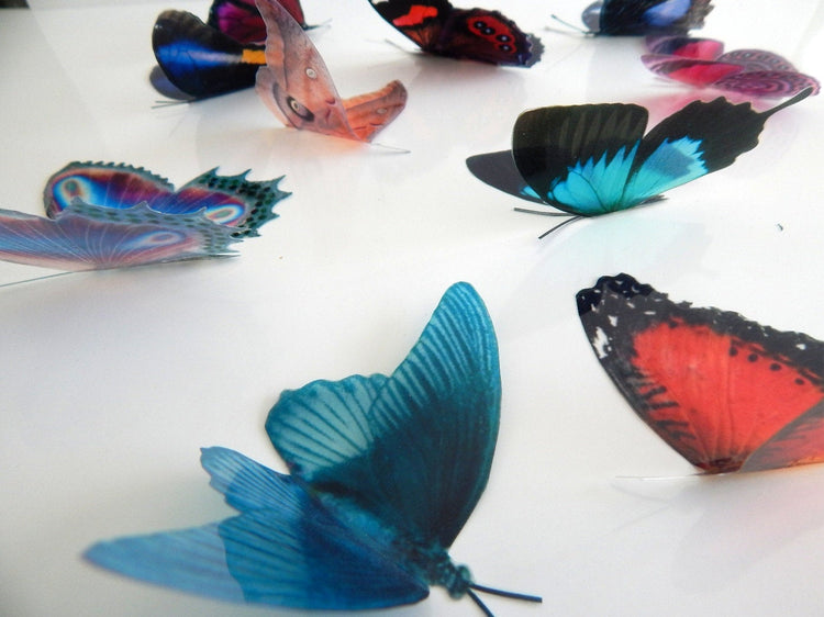 10 Natural butterflies 3d butterfly stickers handmade, butterfly decor for the wall,sun catchers,home,bedroom, lounge,window decorations