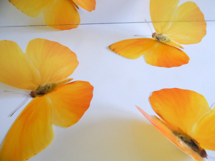 3D Yellow 3D Flying Removable Butterflies Home Decorations