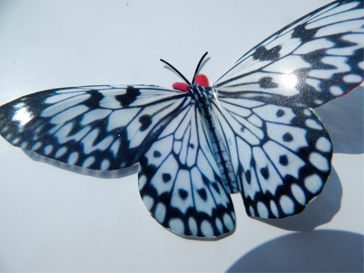 Black and white butterfly reproduction natural,Butterfly 3d purple, luxury butterfly wall art, bedroom,bathroom, window sun catcher