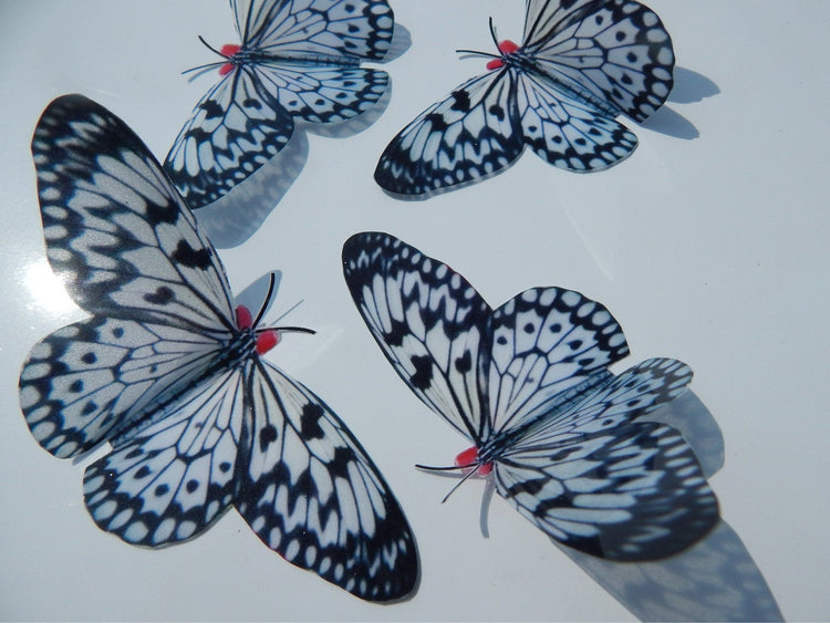 Black and white butterfly reproduction natural,Butterfly 3d purple, luxury butterfly wall art, bedroom,bathroom, window sun catcher