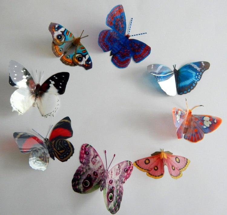 Natural reproduction 3d butterfly wall stickers,sun catcher,plant pots,walls,table decor,conservatory,windows,display of butterflies