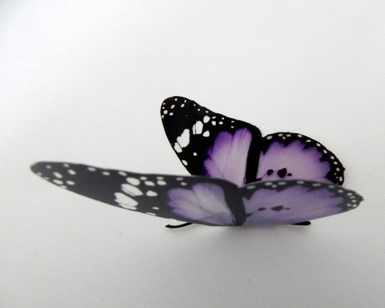 6 Lilac Butterflies, wedding Decorations,Purple Wall Art window conservatory caravan decor sticker flower pot, wedding